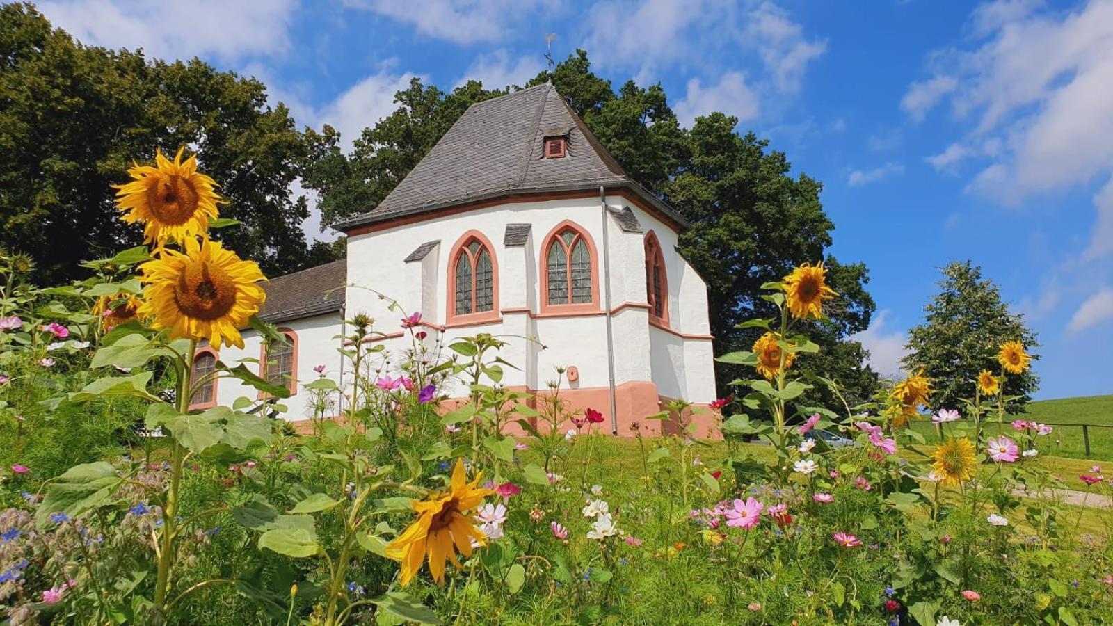 Ferienhaus Deine Zeit Mit Sauna Und Wallbox Nettersheim ภายนอก รูปภาพ